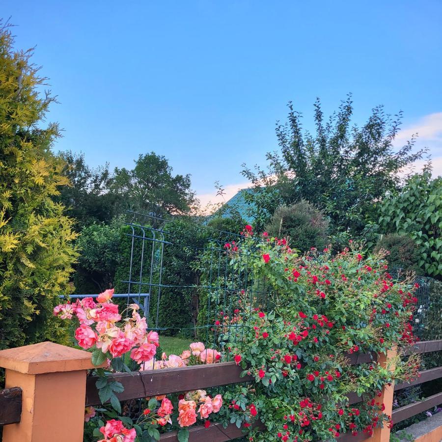 Lodge Breza Lux Kolasin Bagian luar foto